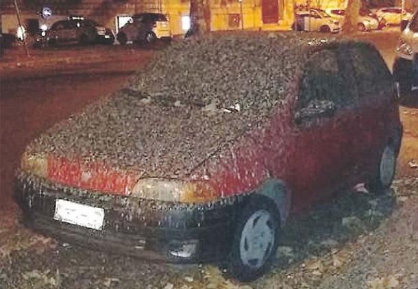 Er Pluridecorato da Ostia all’autolavaggio